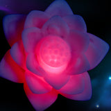 Color Changing Lotus Night Light