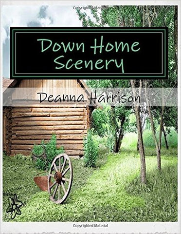 Down Home Scenery Coloring Book